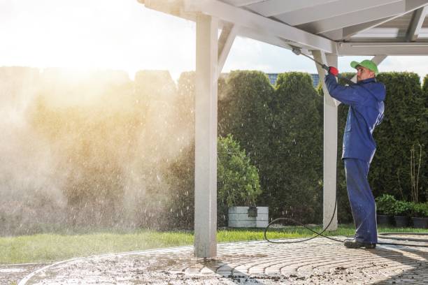 Best House Exterior Washing  in Clio, AL